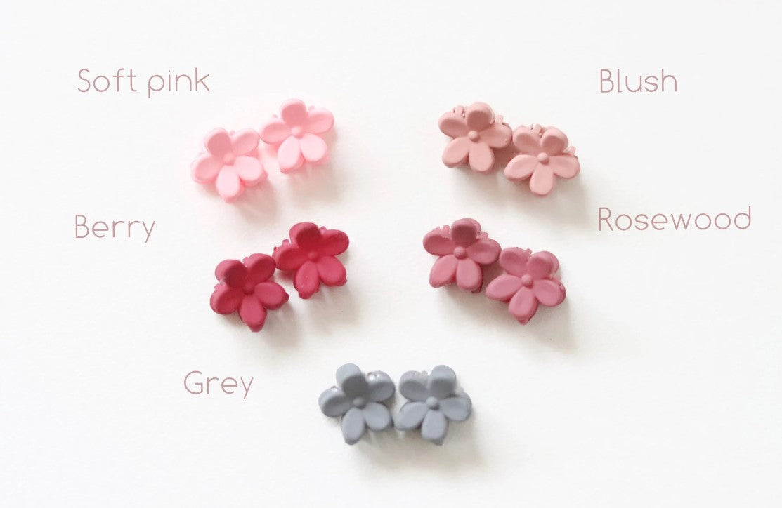 Mini Matte Claw Clip Set