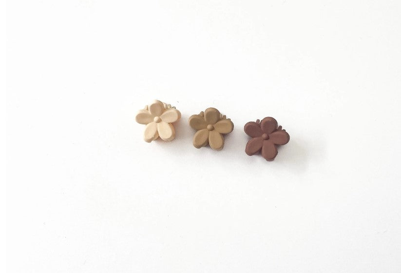 Mini Matte Claw Clip Set