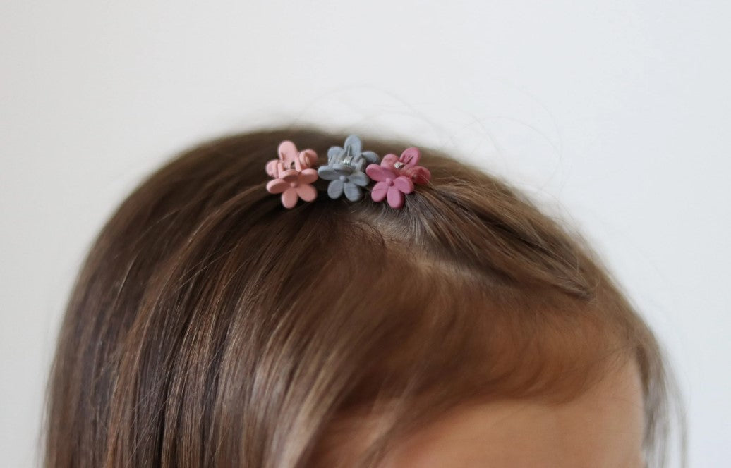 Mini Matte Claw Clip Set
