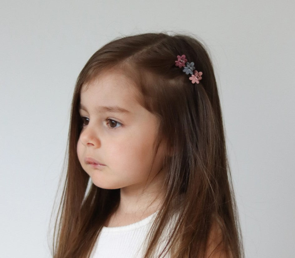 Mini Matte Claw Clip Set